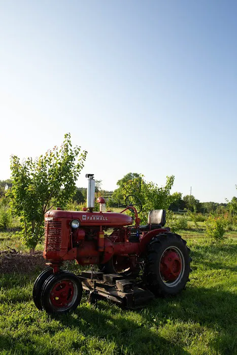 Stone Creek Farm Picture 7