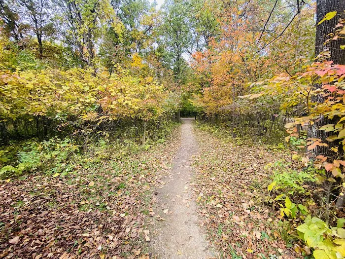 Wild River State Park Main Campground Picture 10