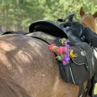 Trade River Equestrian Campground, Governor Knowles State Forest, WI ico
