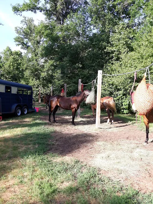 Trade River Equestrian Campground, Governor Knowles State Forest, WI Picture 10