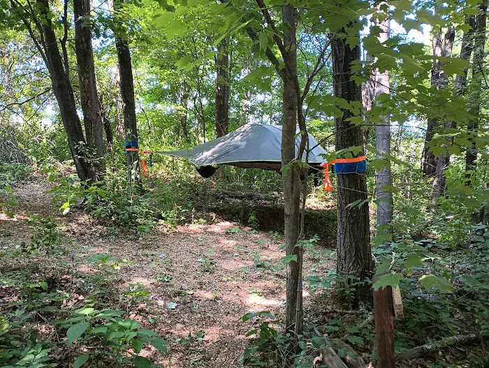 Wild Vines Campground Picture 1