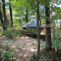 Wild Vines Campground ico