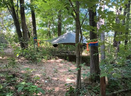 Wild Vines Campground
