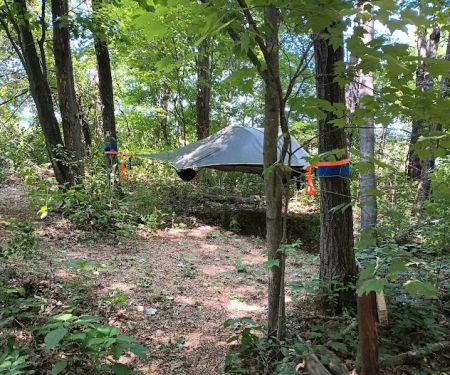 Wild Vines Campground