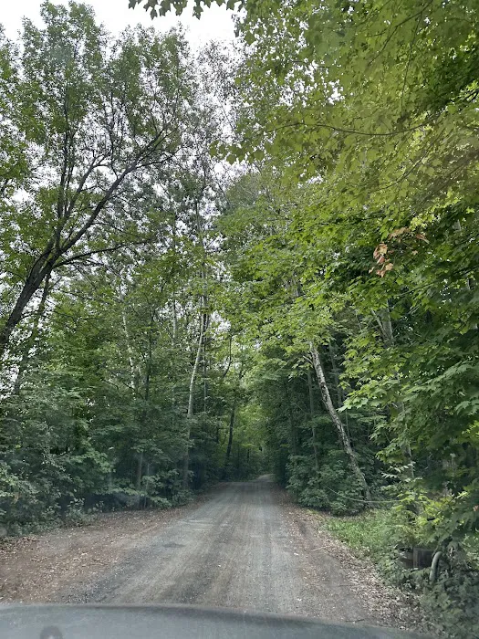 Wild Vines Campground Picture 6