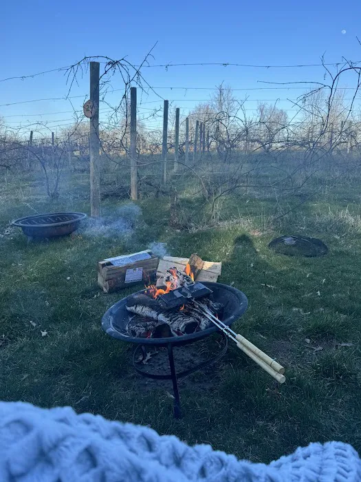 Wild Vines Campground Picture 4