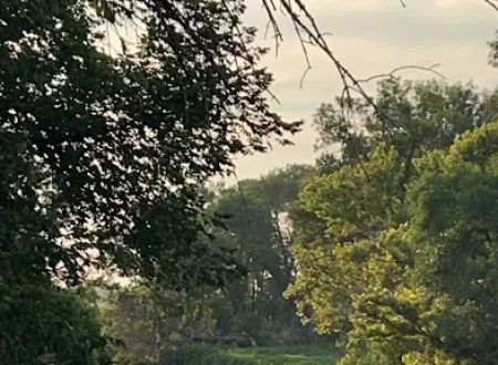 Kuhar Park