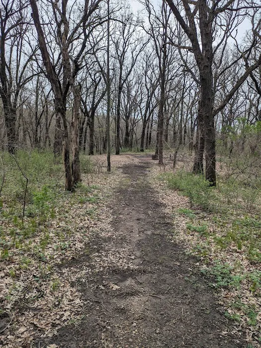 Kilen Woods Campground Picture 1