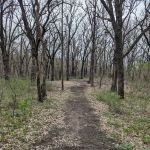 Kilen Woods Campground