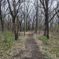 Kilen Woods Campground ico