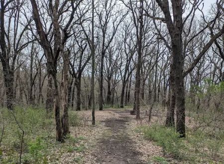 Kilen Woods Campground