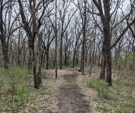 Kilen Woods Campground