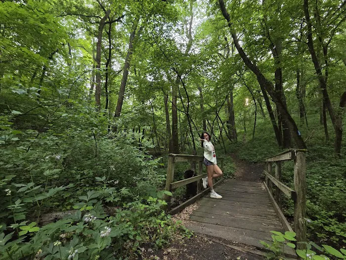 Kilen Woods Campground Picture 3