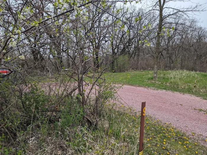Kilen Woods Campground Picture 2