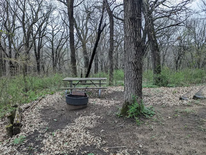 Kilen Woods Campground Picture 5