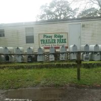 Piney Ridge RV Park ico