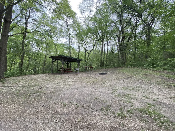 Martin Access Campground #3 Picture 8