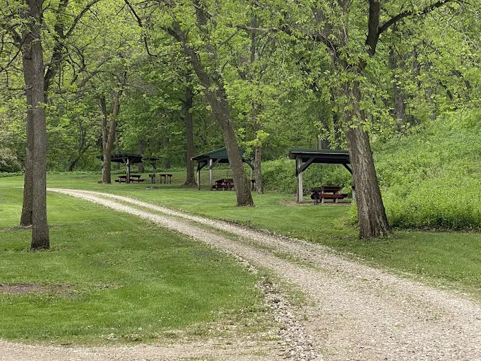 Martin Access Campground #3 Picture 5
