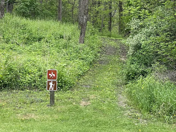 Martin Access Campground #3 Picture 4
