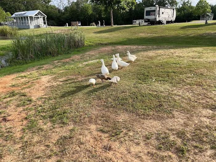 Texan RV Park Picture 3