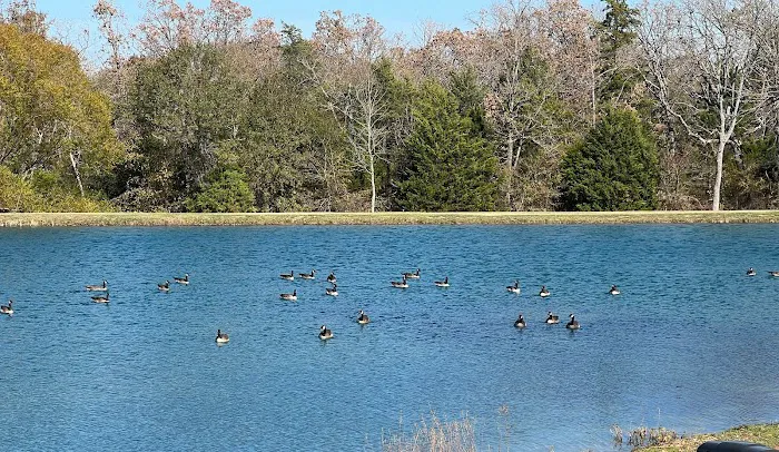 Texan RV Park Picture 6