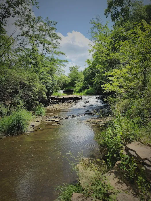 Briggs Woods Campground Picture 1