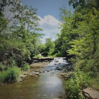 Briggs Woods Campground ico
