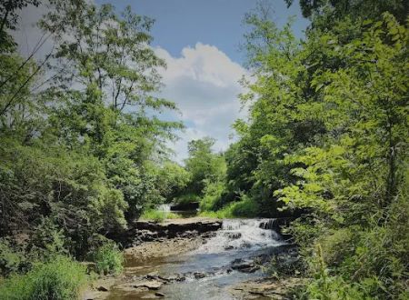 Briggs Woods Campground