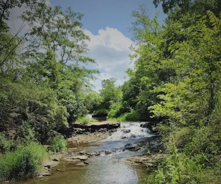 Briggs Woods Campground