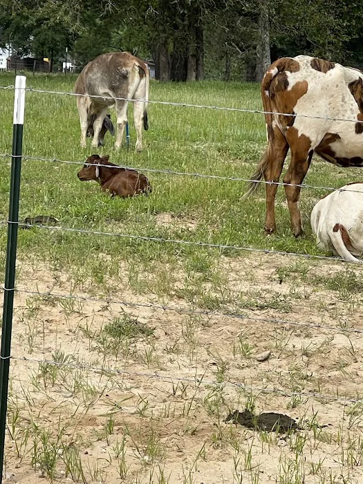 Cristville RV Ranch Picture 3