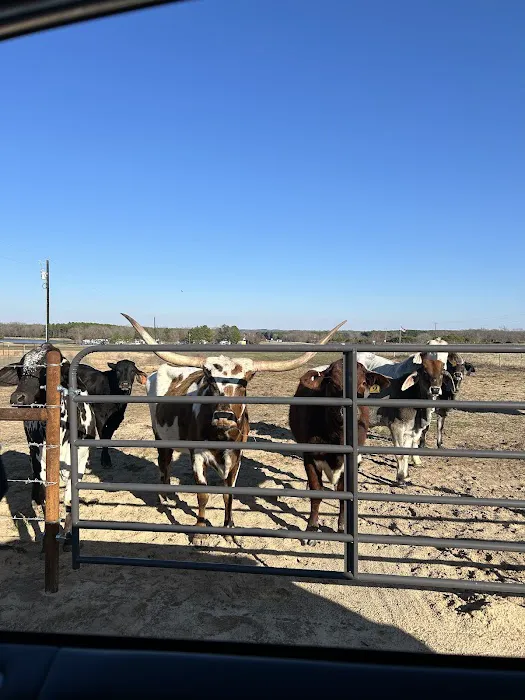 Cristville RV Ranch Picture 5