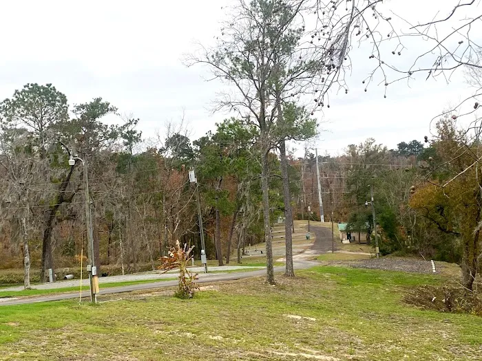 Chattahoochee RV Campground & Fishing Resort Picture 6