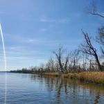 Butlers Ferry (Trails End Marina) (recgovnpsdata)