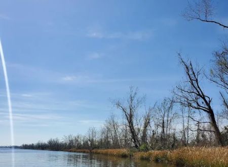Butlers Ferry (Trails End Marina) (recgovnpsdata)