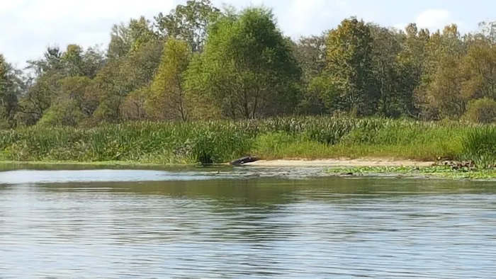 Butlers Ferry (Trails End Marina) (recgovnpsdata) Picture 9