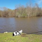 Trails End RV Camp