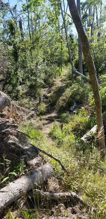 Bluff Rock Picture 7