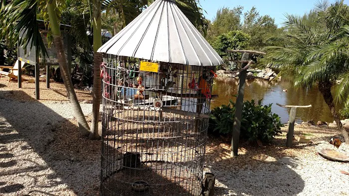 Periwinkle Campground Sanibel Island Picture 8