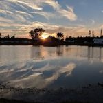 Fort Myers / Pine Island KOA Holiday