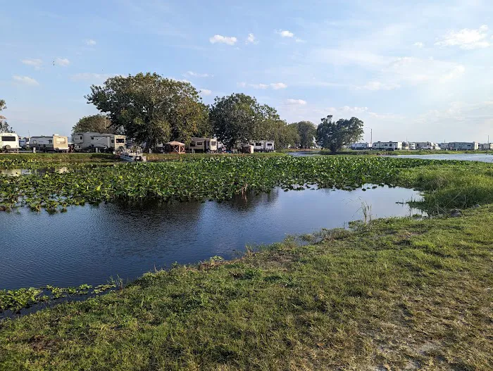 Torry Island Campground Picture 10