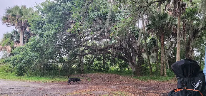 Hammock Campground Picture 10