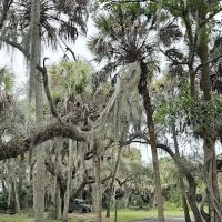 Hammock Campground ico