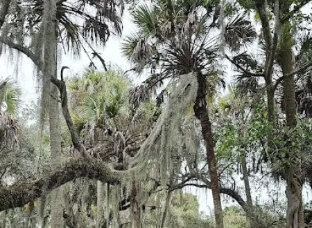 Hammock Campground