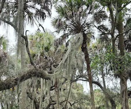 Hammock Campground