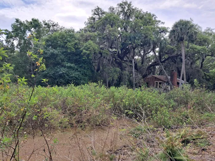 Dupuis Group Campground. 22500 SW Kanner HWY Picture 1