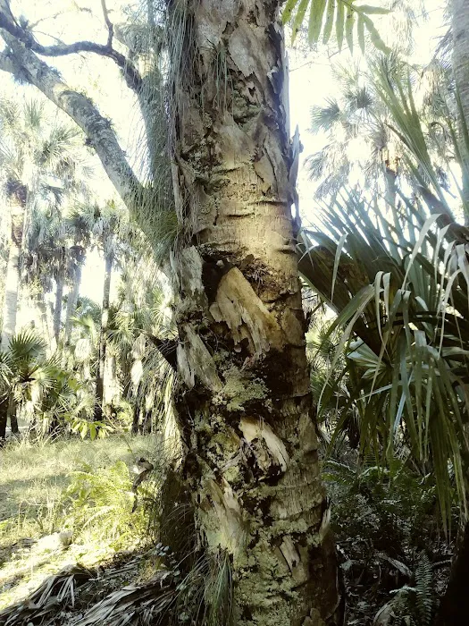 Dupuis Group Campground. 22500 SW Kanner HWY Picture 10