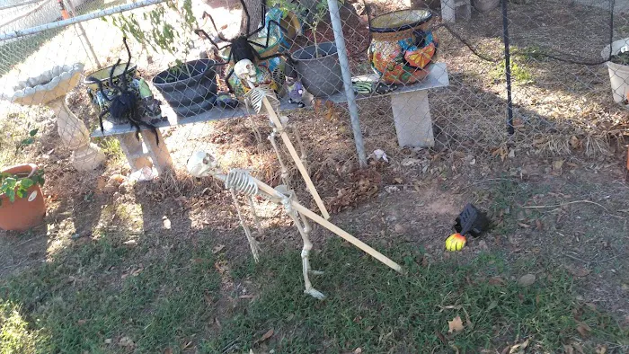 South Bossier Mobile Home Park Picture 2