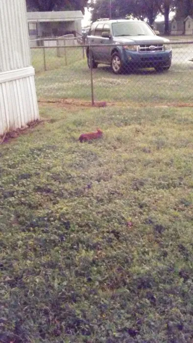 South Bossier Mobile Home Park Picture 9