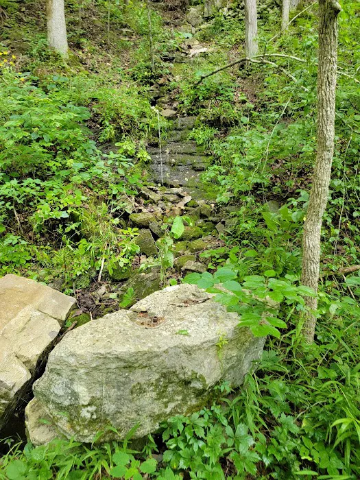 Barkshed Campground Picture 9