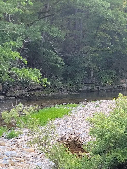 Barkshed Campground Picture 5